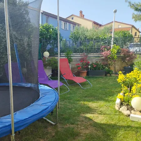 D&n Póla
